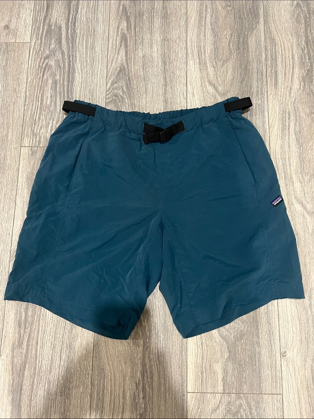 Patagonia Deep Teal Outdoor Shorts with Webbing Belt